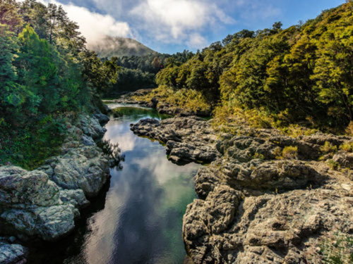 Walk, Swim or Camp by the Pelorus River